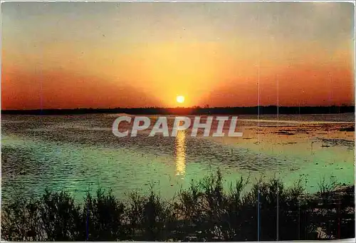Cartes postales moderne Camargue Coucher de Soleil