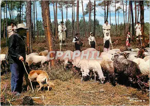 Moderne Karte Visages des Landes Folklore Berger et son Troupeau