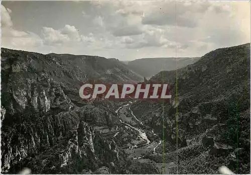 Cartes postales moderne Les Gorges du Tarn vue d'ensemble