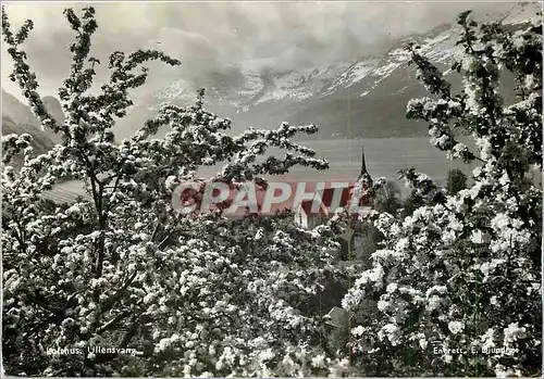 Cartes postales moderne Ullensvang