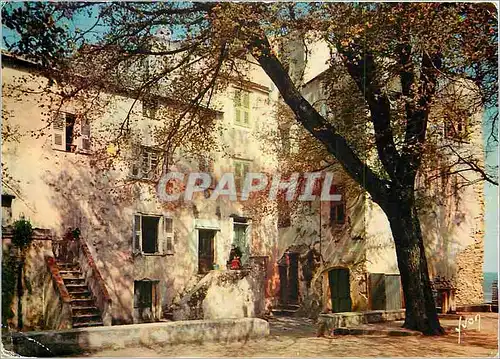 Cartes postales moderne Couleurs et Lumiere de France La Corse oasis de Beaute Saint Florent Monbres et lumieres sur les