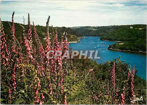 Moderne Karte Couleurs de Bretagne Beg Leguer Les rives du Leguer