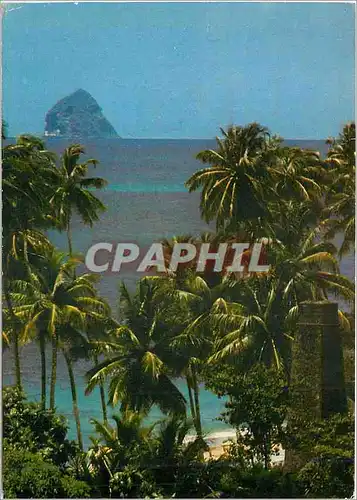 Cartes postales moderne martinique Sainte Luce Vue sur l'Anse Figuier