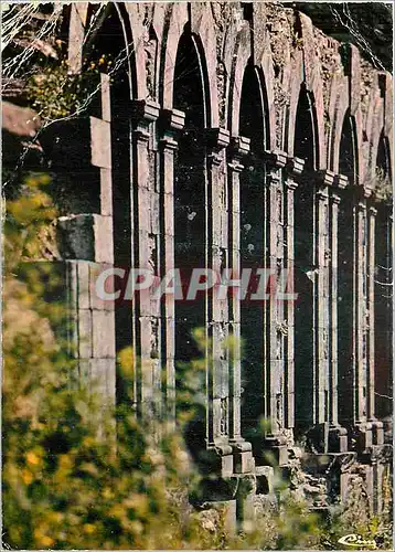 Cartes postales moderne Collobriere (Var) Chartreuse de la verne