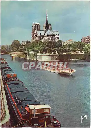 Cartes postales moderne Couleurs et Lumiere de France Paris Promenade sur la Seine autour de Notre Dame en bateau parisi