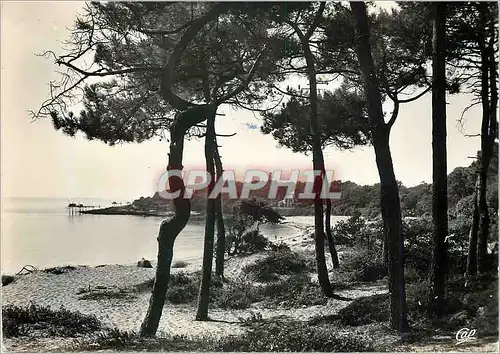 Cartes postales moderne St Palais sur Mer La Plage du Platin