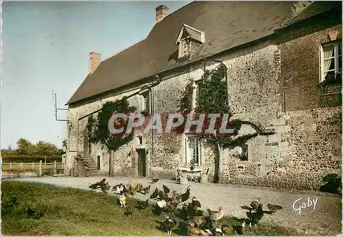 Moderne Karte Manoir Normand Cernay (Ve et XIe s)