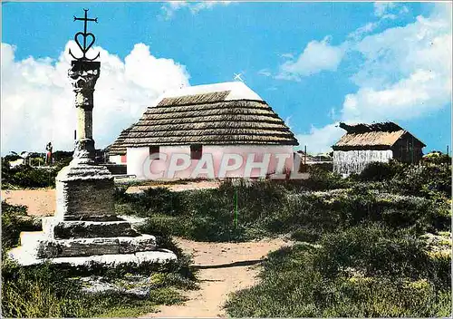 Cartes postales moderne En Camargue (Bouche du RHone) La Croix et Cabanes de Gardians