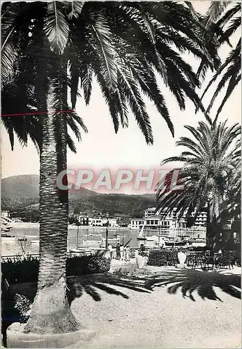 Cartes postales moderne La Cote d'Azur Ste Maxime sur Mer La Promenade et la Plage