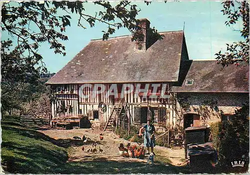 Cartes postales moderne La Normandie Ferme Normande La basse cour