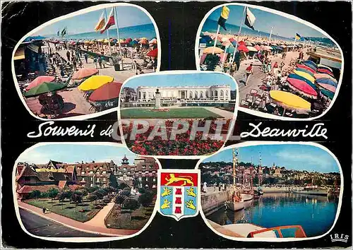 Cartes postales moderne Souvenir de Deauville La Plage