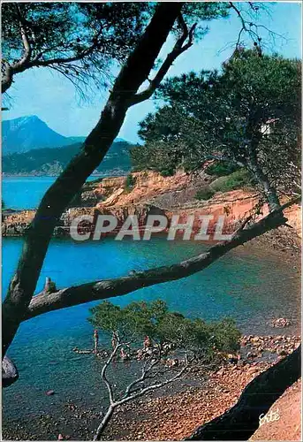 Cartes postales moderne Reflets de France Cote d'Azur Environs de Toulon