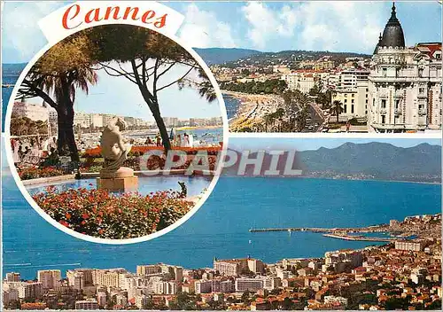 Cartes postales moderne Souvenir de Cannes (Alpes Maritimes)