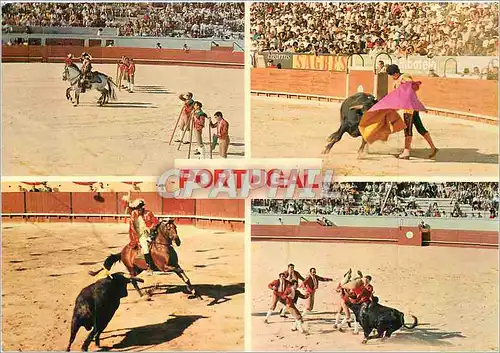 Moderne Karte Portugal Course de Taucauz Corrida