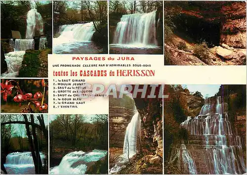 Moderne Karte Paysages de Jura Une promenade celebre par d'Admirables sous bois