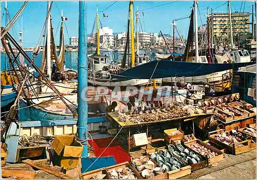 Cartes postales moderne Riviera Adriatique Cattolica le Port Bateaux