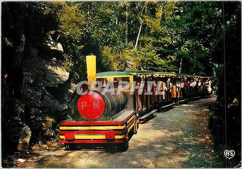 Cartes postales moderne Station Thermale de Bagnoles de l'Orne Tesse la Madeleine (Orne) Le Petit train dans l'allee esc