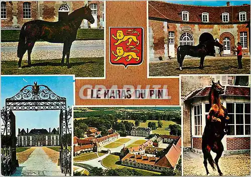 Cartes postales moderne Le Haras du Pin (Orne) Chevaux Lion