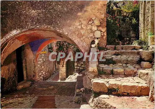 Cartes postales moderne Eze Cote d'Azur French Riviera Vieille ru pittoresque chapelle des Penitents Blancs