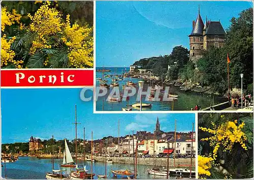Cartes postales moderne Lumiere de la Cote de Jade Pornic le chateau et le port