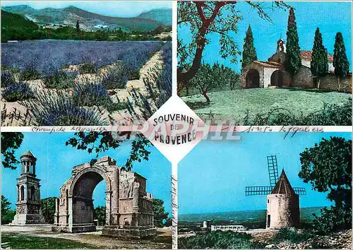 Cartes postales moderne Souvenir de Provence Moulin Daudet