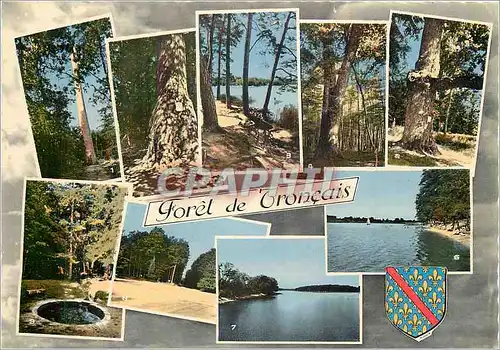Moderne Karte Bourbonnais Touristique Foret de Troncais (Allier) la plus belle chenaie de France