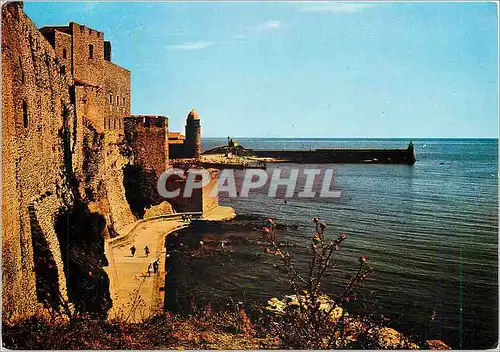 Cartes postales moderne En Parcourant la cote Vermelle Collioure (P O) Echappee sur le chateau Fort L'Eglise la jetee et