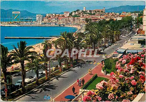 Moderne Karte Cote d'Azur French Riviera Cannes (Alpes Mmes) La Promenade de la Croisette