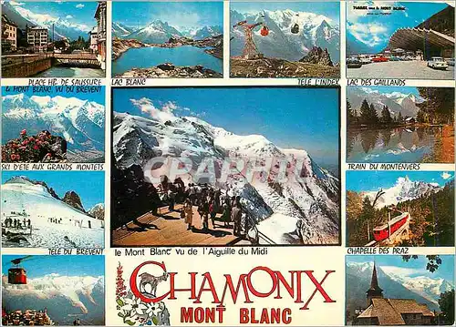 Moderne Karte Chamonix Mont Blanc (Haute Savoie) de 1037 a 4807m