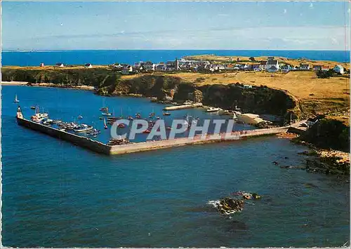 Cartes postales moderne Houat (Ile de ) Morbihan le Port