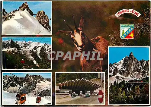Cartes postales moderne Chamonix Mont Blanc L'Aiguille du Midi 3842 m chaine du Mont Blanc Chevre