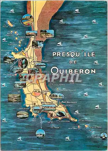 Moderne Karte Presqu'il de Quiberon (Morbihan)