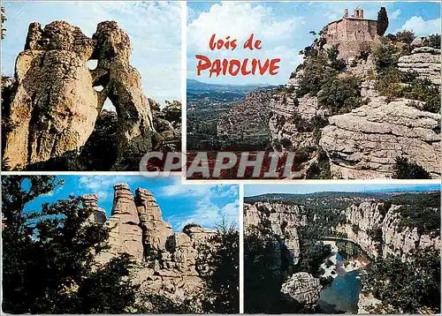 Cartes postales moderne Les Grands Paysages du Vivarais Le Bois de Palolive et ses curieux rochersen haut