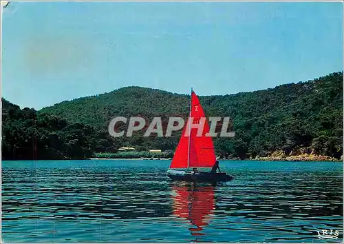 Cartes postales moderne La Cote d'Azur French Riviera Ile de Port Cros (Var) La Baie de Port Man