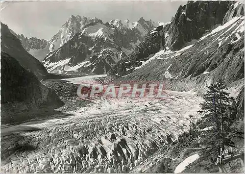 Moderne Karte Chamonix Mont Blanc (Haute Savoie) La Mer de Glace et le Jorasses
