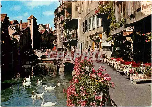 Cartes postales moderne  Lac d'Annecy
