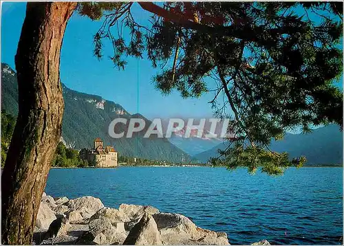 Cartes postales moderne Le ch�teau de Chillon et les dents du Midi