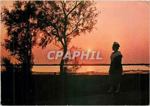 Moderne Karte Les Belles images de Camargue Coucher de Soleil sur le Vaccares