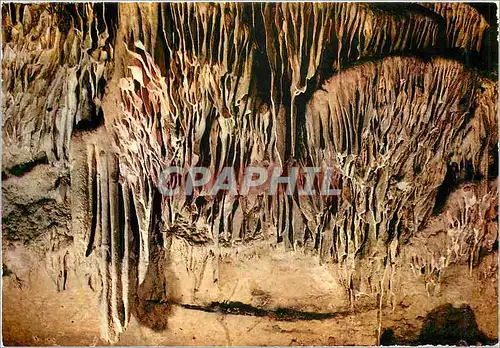 Cartes postales moderne Les Grottes d'Arcy sur Cure (Yonne) Les Draperies