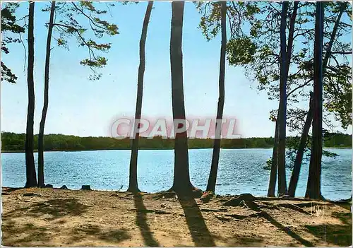 Cartes postales moderne Foret de Troncais Etang de Saint Bonnet