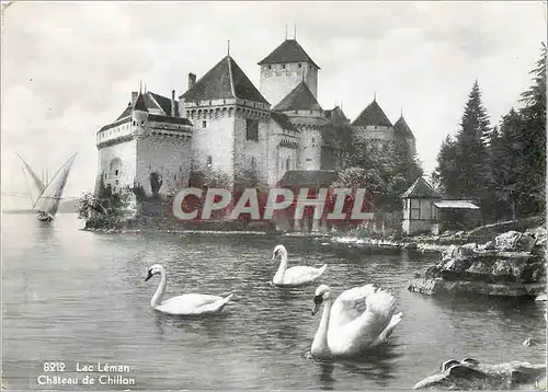 Cartes postales moderne Lac Leman Chateau de Chillon Cygnes