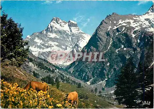 Moderne Karte Dans les Alpages du Mont Viso