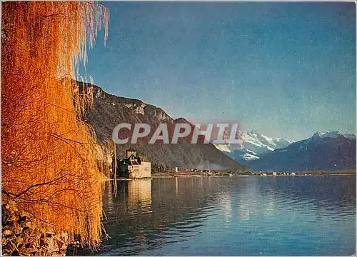 Cartes postales moderne Chateau de Chillon et Dents du Midi