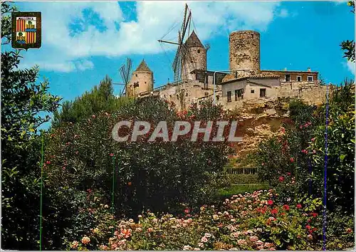 Cartes postales moderne Mallorca