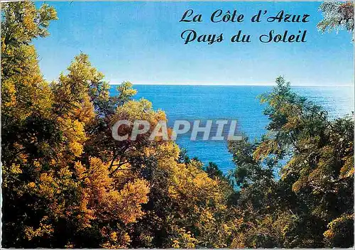 Moderne Karte La Cote d'Azur Pays du Soleil Riviera Mimosas