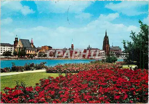 Cartes postales moderne Frankfurt