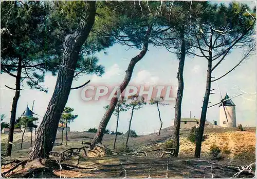 Moderne Karte Vendee Pittoresque Paysage du bocage