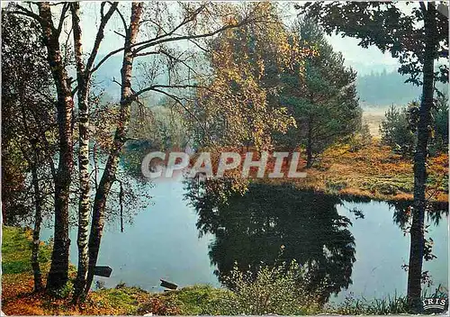 Cartes postales moderne Le Limousin Pittoresque en Correze Matin d'automne sur la Vezere pres de Bugeat