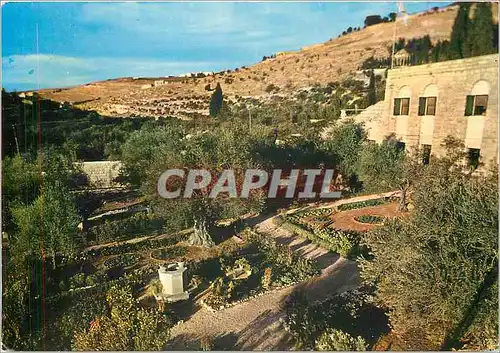 Moderne Karte Garden of Gethsemani Jerusalem Jordan