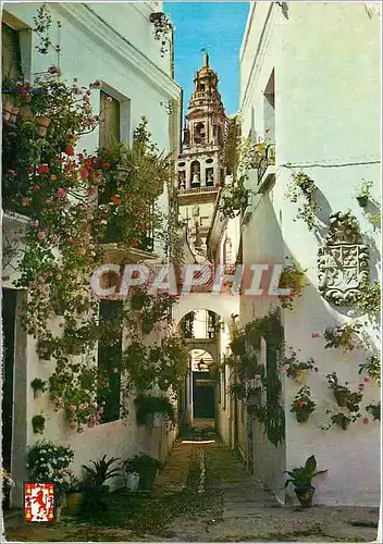 Cartes postales moderne Cordoba Ruelle des Fleurs